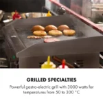 Klarstein Grillmeile 3000R električni žar, Srebrna - Image 5