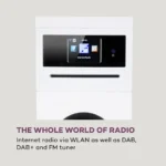 Auna Karaboom 100 WiFi, stolpni zvočnik, internetni radio, DAB +, BT, 120 W, bel - Image 6