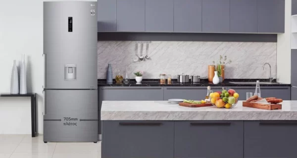 LG GBF567PZCMB, 461 l, energijski razred E, No Frost, DoorCooling +, FreshBalancer, avtomat za vodo, inteligentni inverterski kompresor, srebrna barva - Image 4