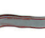 TOORX TEKSTILNI TRAK Z ZANKAMI LIGHT, sivi - Image 3