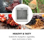 Klarstein Captain Jerky 110, sušilnik za živila, 1000 W, 30 - 90 ° C, 24 ur. časovnik, nerjaveče jeklo - Image 6