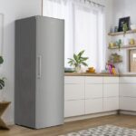 Gorenje R619EES5 hladilnik