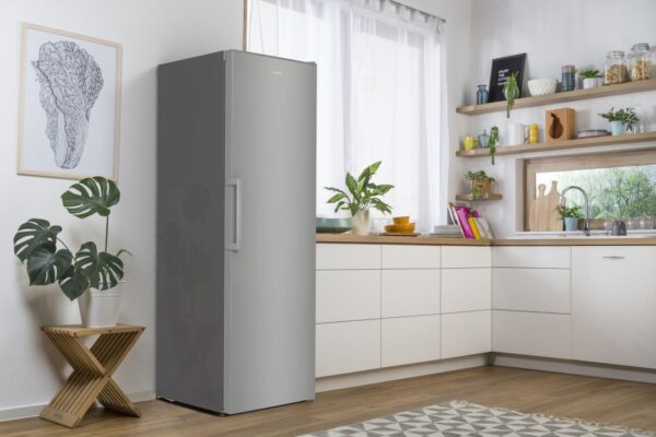 Gorenje R619EES5 hladilnik