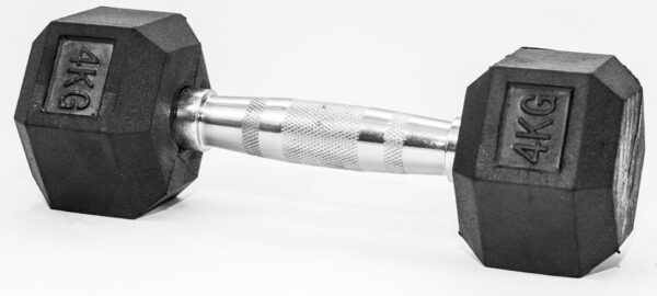 FITMOTIV HEX GUMIRANA ROČKA 4 kg