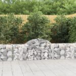Obokana gabionska košara 40 kosov 200x30x60/80cm cinkano železo