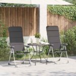 Stol za kampiranje 2 kosa sive barve aluminij 58x69x111 cm