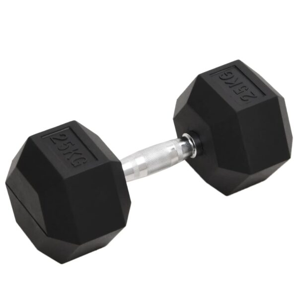 Uteži 25 kg lito železo