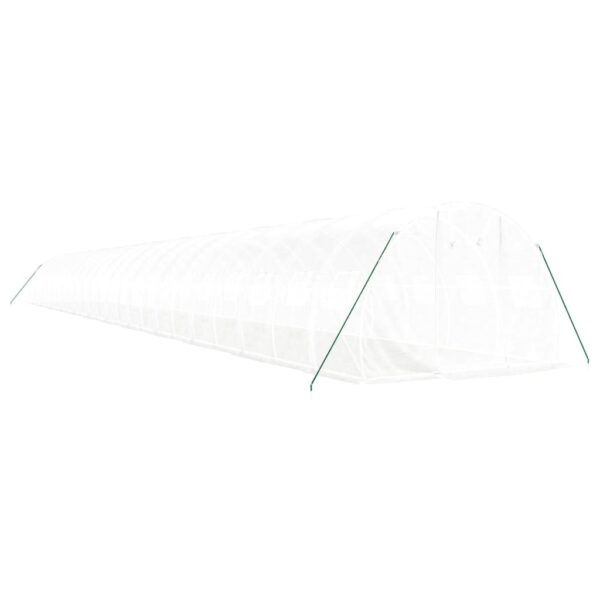 Rastlinjak z jeklenim okvirjem bel 72 m² 24x3x2 m - Image 3