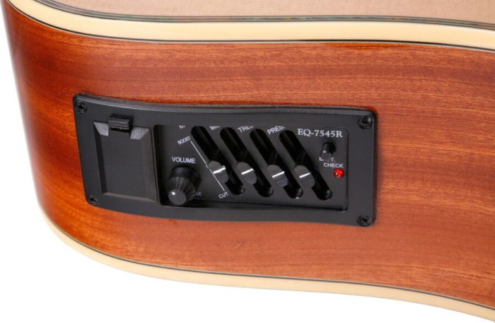 Elektro akustična kitara WS-2 natur - slika 3